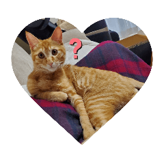 sayuri_20230520214949