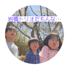 koto_20230521095808