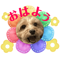 SUZU_20230520201227