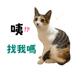 荳寶寶3