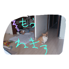konatsu_20230521090515