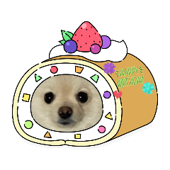 Sunny_20230521062810