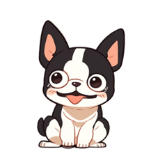 Boston terrier_gum