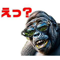 Gorillanski_20230519163016