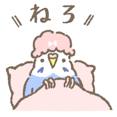 birds_daily16