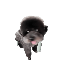 qutan