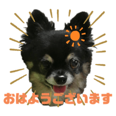 suzu_20230521132011
