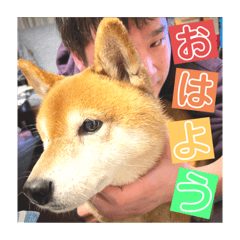 sunny_20230521182501