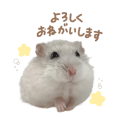 omochi_yomogi_coco_20230521172524