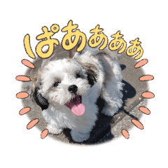 Maruhei_20230521230724