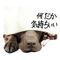 smile_20230521181510