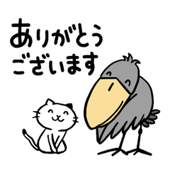 ハシビロコウと猫【敬語/丁寧】