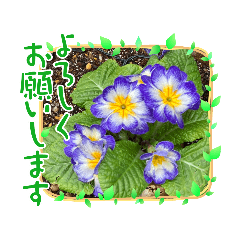 お花（植物）フォトスタンプ