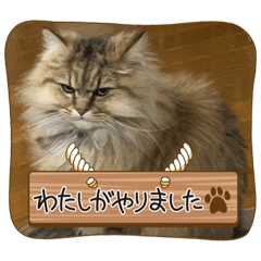 mizuki_20230522102454