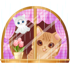 Rainbow and rain! happy cat rainy season