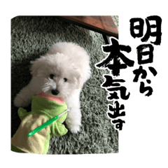 yuka_20230522010739