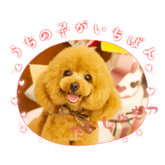 Arisa_20230522161403