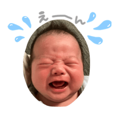 Hikaru_20230
