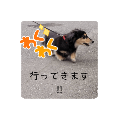 Ruru_20230522194548