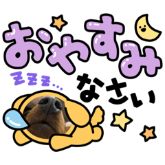 HANA_20230523045249