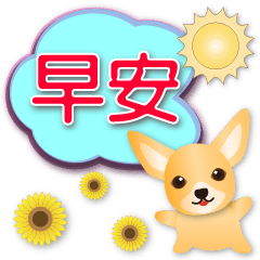 Cute Chihuahua-Practical speech balloons