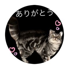 hana_20230522215423
