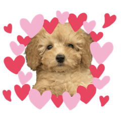 mizuki_20230522235716