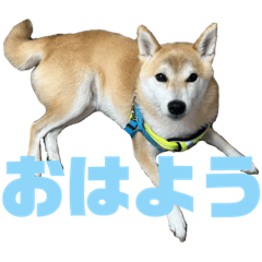 yun_20230523000101