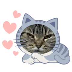 Shiho_20230521203013