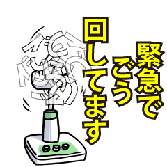 RESPECTemerald_s_0500