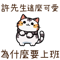 Cat Guide2Mr Xu84