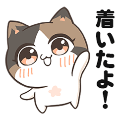 Uni cat Hana-chan