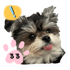 maichi_20230522235024
