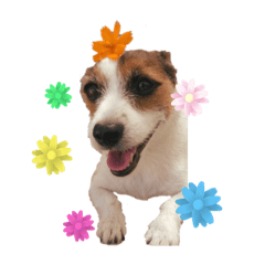 arisa_20230522230049