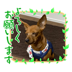 HANA_20230523123207