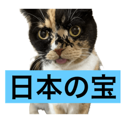 kaede_20230523000505