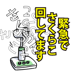 さくらこリスペクト（エメラルド）