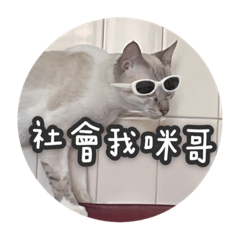 咪咪醬駕道