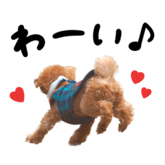 Yukari_20230523154111