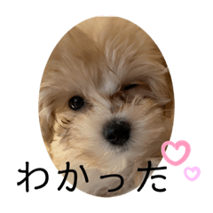 yuka_20230523170934