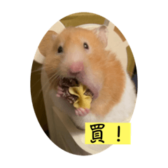 蕾蕾想要出貼圖