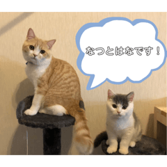 hikari_20230523174455