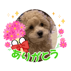 taru_20230524010533