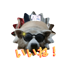 hana_20230524060834