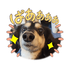Ruru_20230523201909