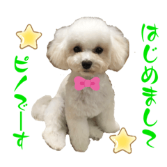 Natsumi_20230523230937