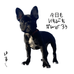 anko_20230524111218