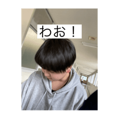 tanuki_20230523202239