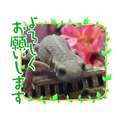 kana_20230524080022