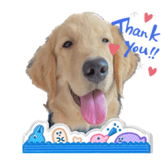 DBlack_20230524094158